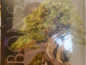 Bonsai: Noelanders trophy 10 Years ~ by Stichting Kunstboek