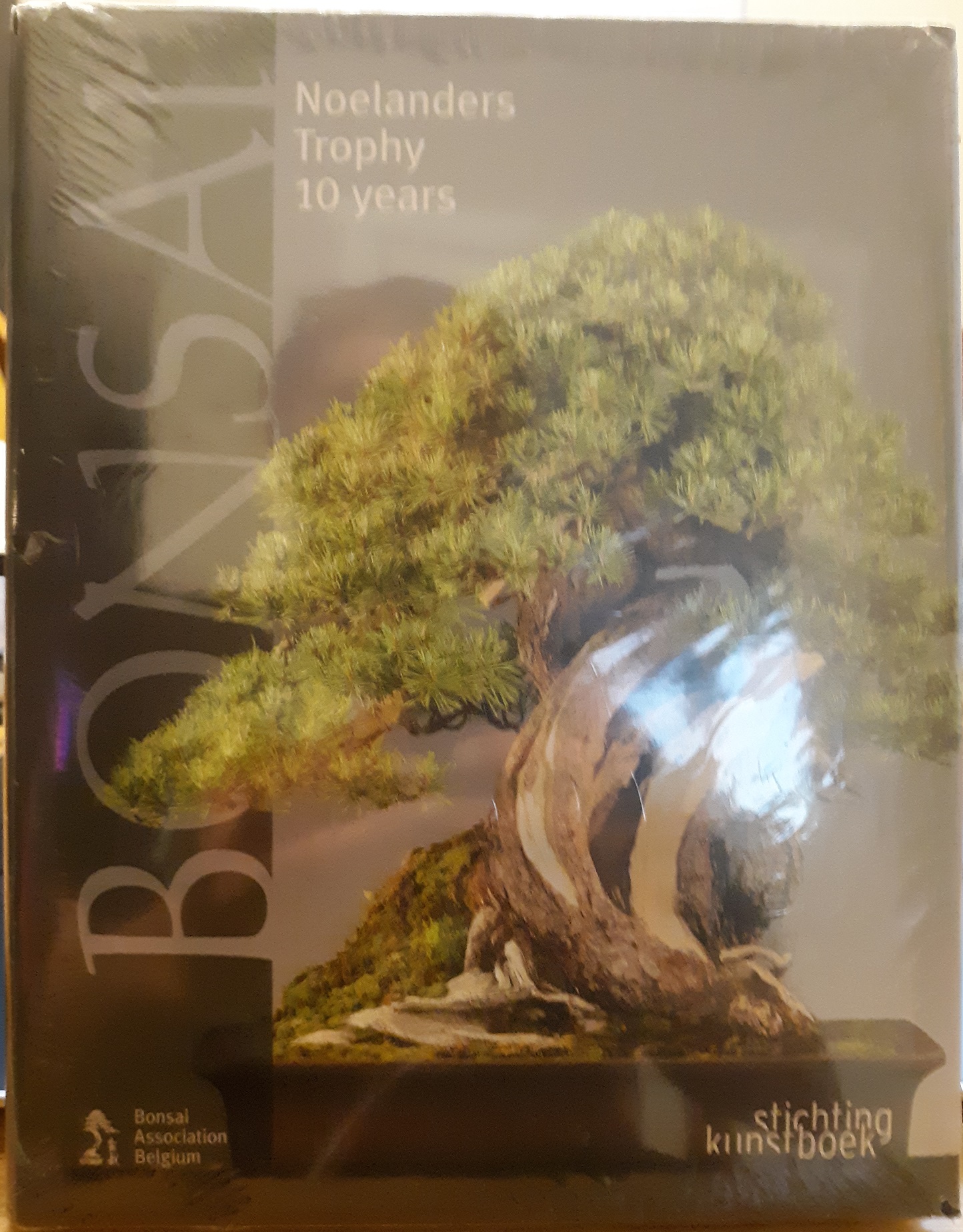 Bonsai: Noelanders trophy 10 Years ~ by Stichting Kunstboek