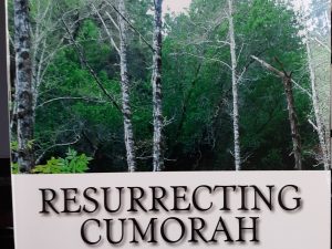 Resurrecting Cummorah (Signed) (2011) ~ by Edwin Goble