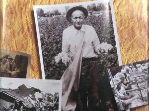 1995~Pure Religion~ The Story of Church Welfare Since 1930~ Glen L. Rudd