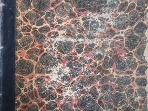 1878 – The Juvenile Instructor Vol 13 & 14 – George Q. Cannon