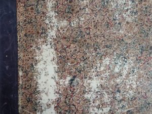 1880 – The Juvenile Instructor Vol 15 & 16 – George Q. Cannon