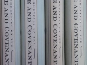 2000 – A Commentary on the Doctrine and Covenants (4 Vol Set) – Stephen E. Robinson and H. Dean Garrett