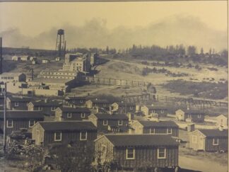 1995 - Blue Mountain Shadows (Vol 16 Only) - The Magazine of San Juan County History