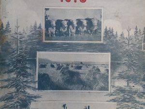 1918 – Montana – Cas. D. Greenfield