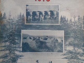 1918 – Montana – Cas. D. Greenfield
