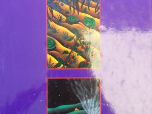 1993 – Barbara Kingsolver: The Complete Fiction – Barbara Kingsolver