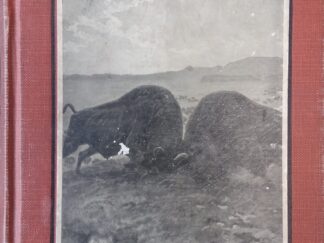 1911 – The King of the Thundering Herd – Clarence Hawkes