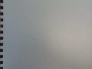 1998 – “Shall They Not Both Fall into the Ditch?” What Certain Baptists Think They Know About the Restored Gospel (Reprint) – Daniel C. Peterson