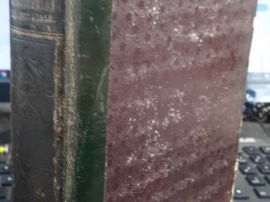 Estadística y Vicisitudes De Las Cόrtes y De Los Ministerios De 1833 A 1858 (Spanish) (1858)