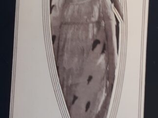 “The Kinema Presents Marguerite Clark in “The Seven Swans”” a Souvenir for the Broadway Production