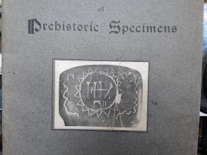 Engravings of Prehistoric Specimens from Michigan, U. S. A. (1910) ~ by Rudolph Etzenhouser