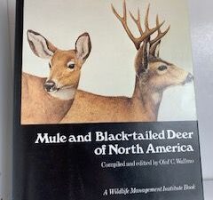1981- Mule and Black-tailed Deer of North America- Olof C. Wallmo