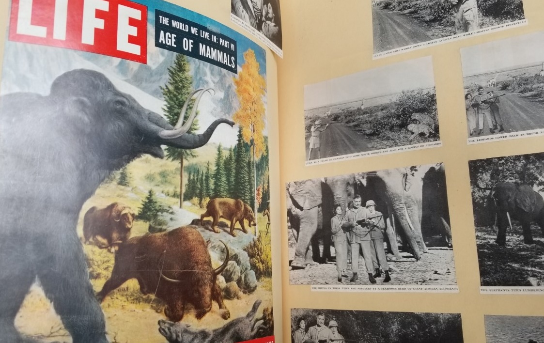 Huge Scrapbook of Entertainment / Actors / Movies – Etc.