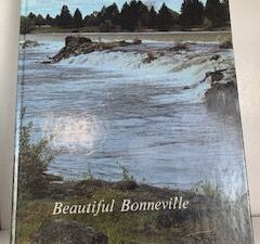 1989- Beautiful Bonneville- Herff Jones