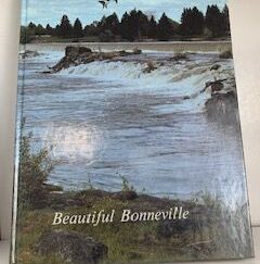 1989- Beautiful Bonneville- Herff Jones