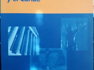 Manual de Defensoría Penal Pública para América Latina y el Caribe (Spanish)