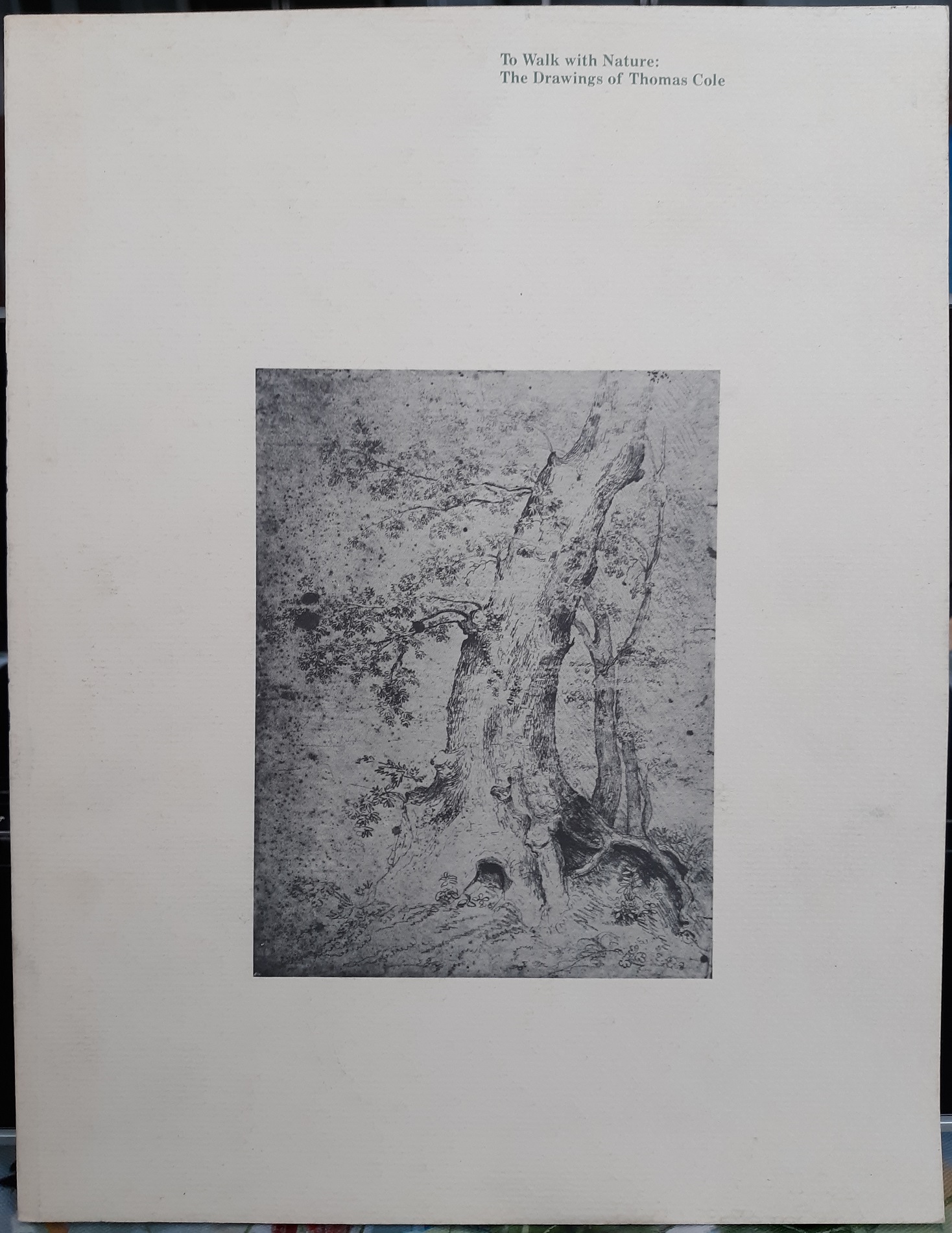 To Walk with Nature: The Drawings of Thomas Cole (1981) ~ by Howard S. Merritt