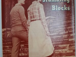 Stepping Stones and Stumbling Blocks (Signed) (1979) ~ by Nicholas J. Teerlink