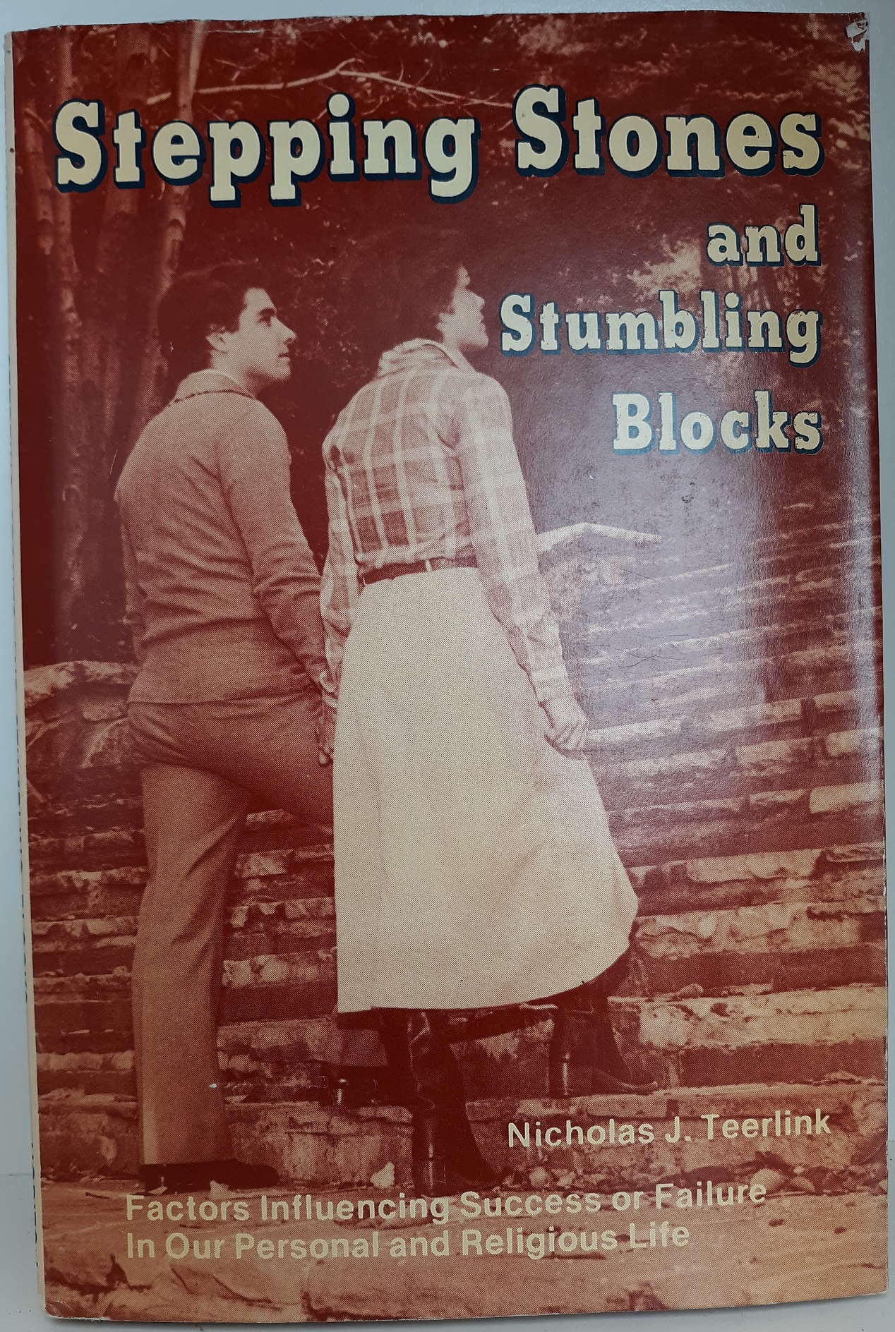 Stepping Stones and Stumbling Blocks (Signed) (1979) ~ by Nicholas J. Teerlink