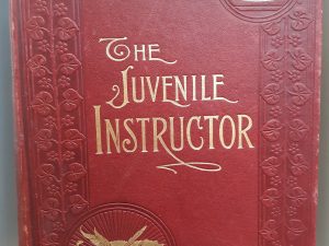 The Juvenile Instructor: Vol. 39, 1904