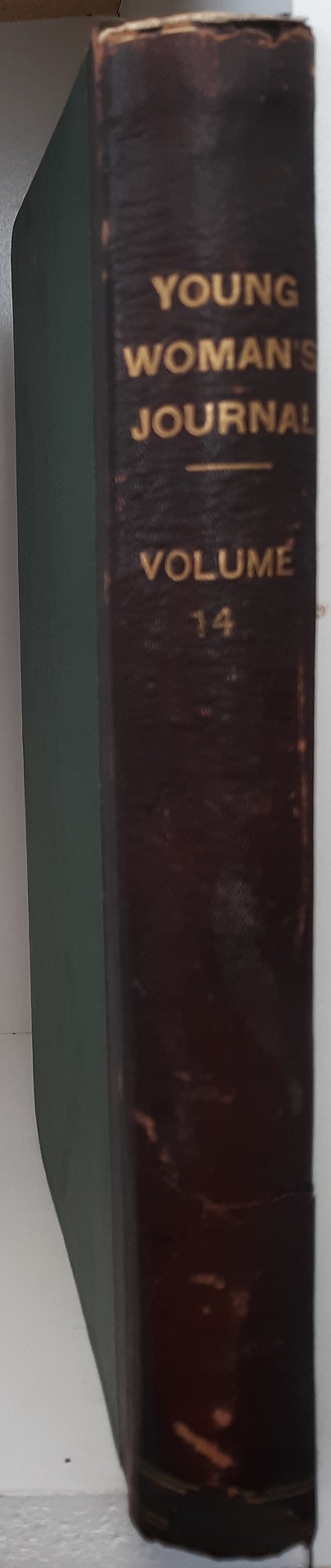 Young Woman’s Journal: Vol. 14