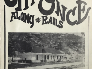 1977 ~ Sitting Once Along The Rails