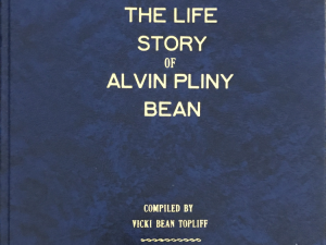 2006 ~ Vicki Bean Topliff ~ The Life Story of Alvin Pliny Bean