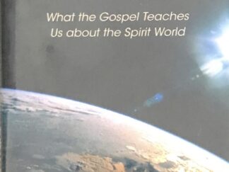 2012 ~ Brent L. Top ~ What's On The Other Side? ~ What the Gospel Teaches Us about the Spirit World --- Hardbound