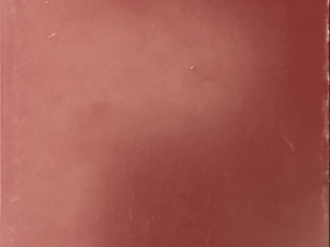 Utah Museum of Fine Arts