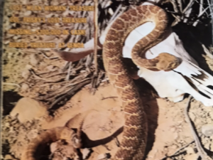 1972 ~ True Treasure ~ October