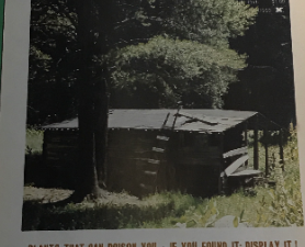 1976 ~ Western Treasures ~ June, Vol. 10, No. 3