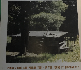 1976 ~ Western Treasures ~ June, Vol. 10, No. 3