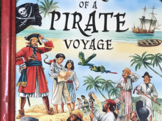 2009 ~ Diary of a Pirate Voyage ~ Pop Out Book