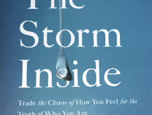 2014 ~ Sheila Walsh ~ The Storm Inside ~ Study Guide