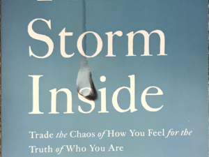 2014 ~ Sheila Walsh ~ The Storm Inside