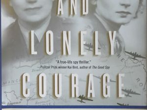 2013 ~ Susan Ottaway ~ A Cool And Lonely Courage