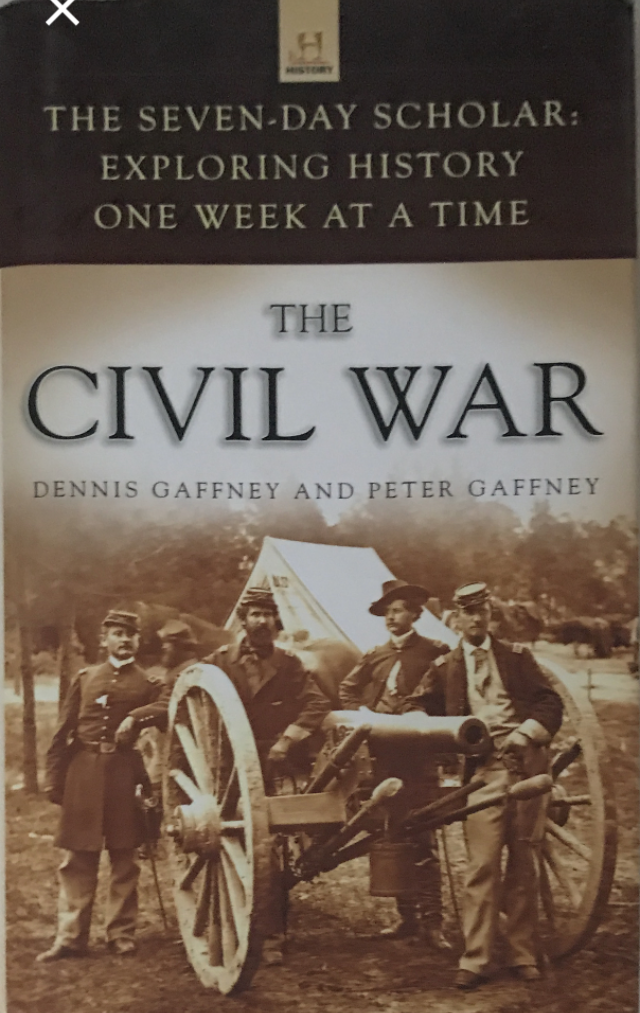2011 ~ Dennis Gaffney and Peter Gaffney ~ The Civil War
