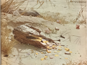 1964 ~ Frontier Times Magazine ~ September