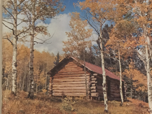 1967 ~ True West Magazine ~ October