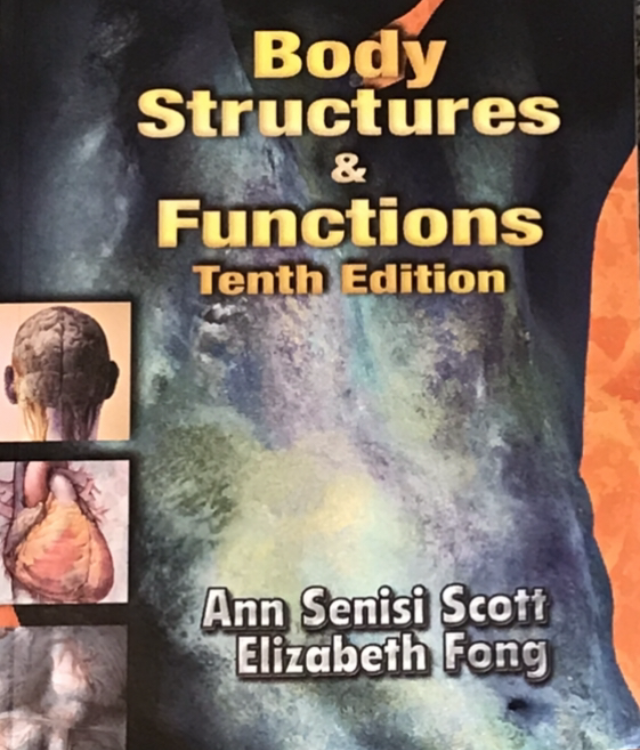 2004 ~ Ann Senisi Scott ~ Elizabeth Fong ~ Body Structures & Functions ~ 10th Edition