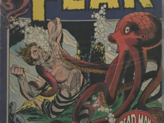 1972 ~ Fear Comic ~ August