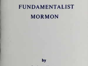1989 ~ Ogden Kraut ~ The Fundamentalist