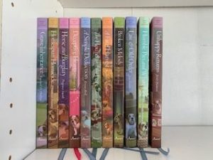 Amish Inn Mysteries (11 volumes)