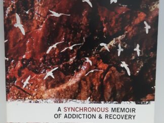 A Synchronous Memoir of Addiction & Recovery (2010) ~ by Aaron B. Bryant