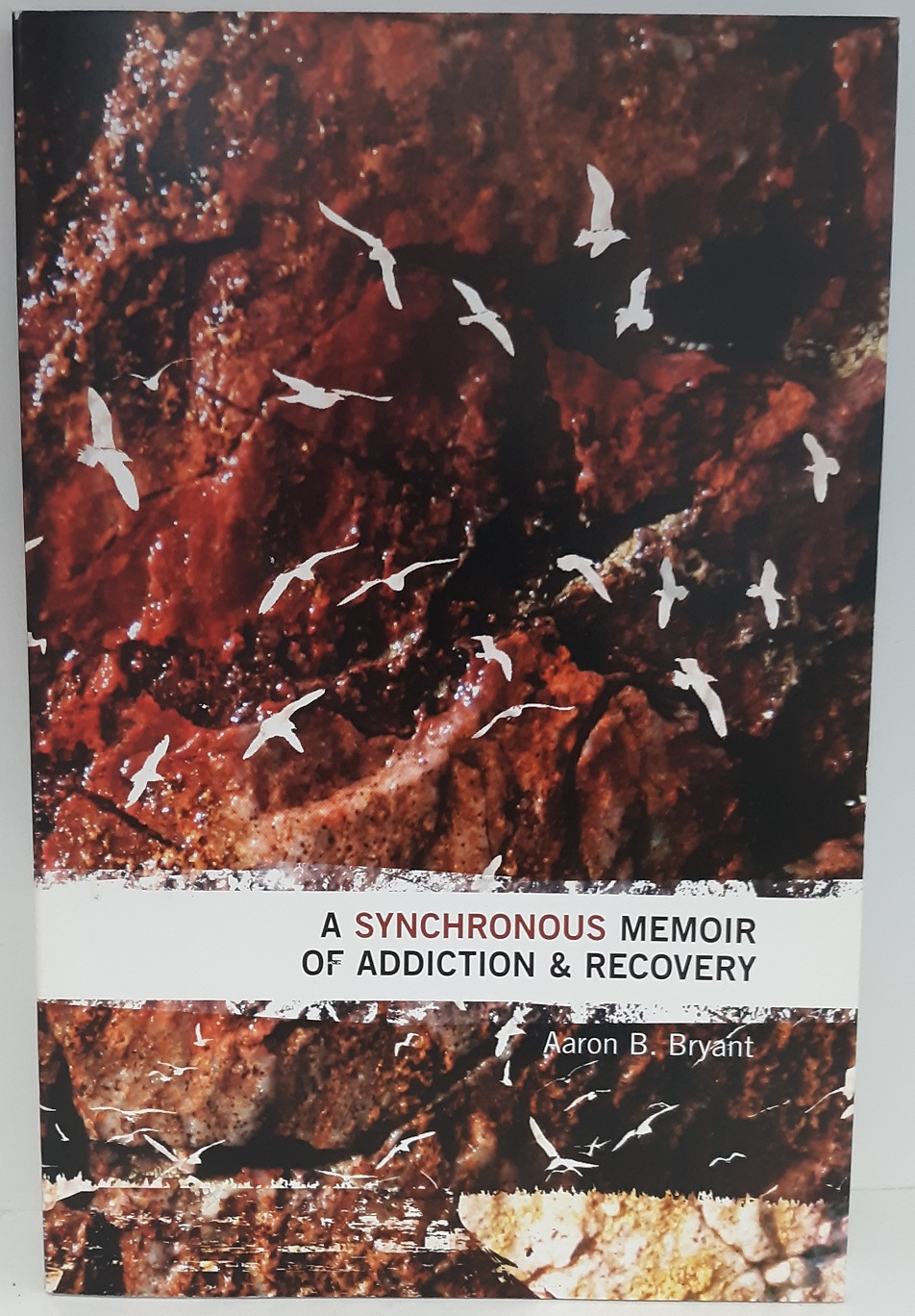 A Synchronous Memoir of Addiction & Recovery (2010) ~ by Aaron B. Bryant