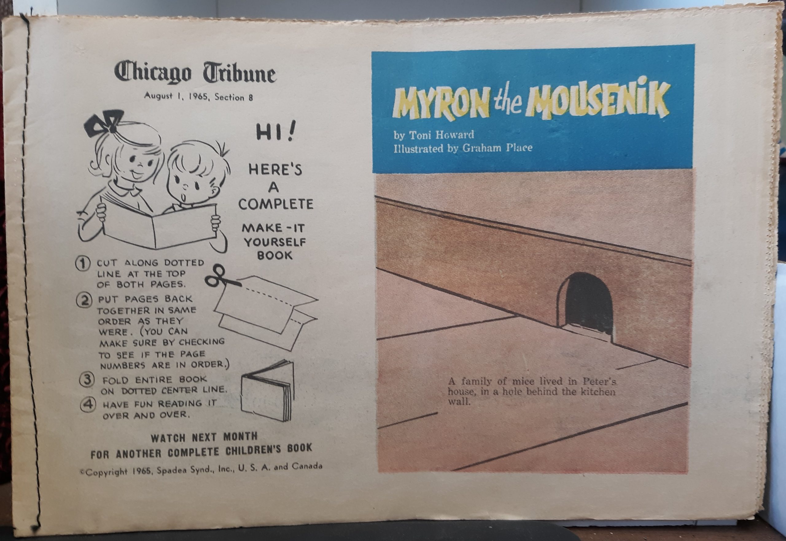 Myron the Mousenik Newspaper Comic (August 1, 1965, Section 8) ~ by Toni Howard, and Graham Place