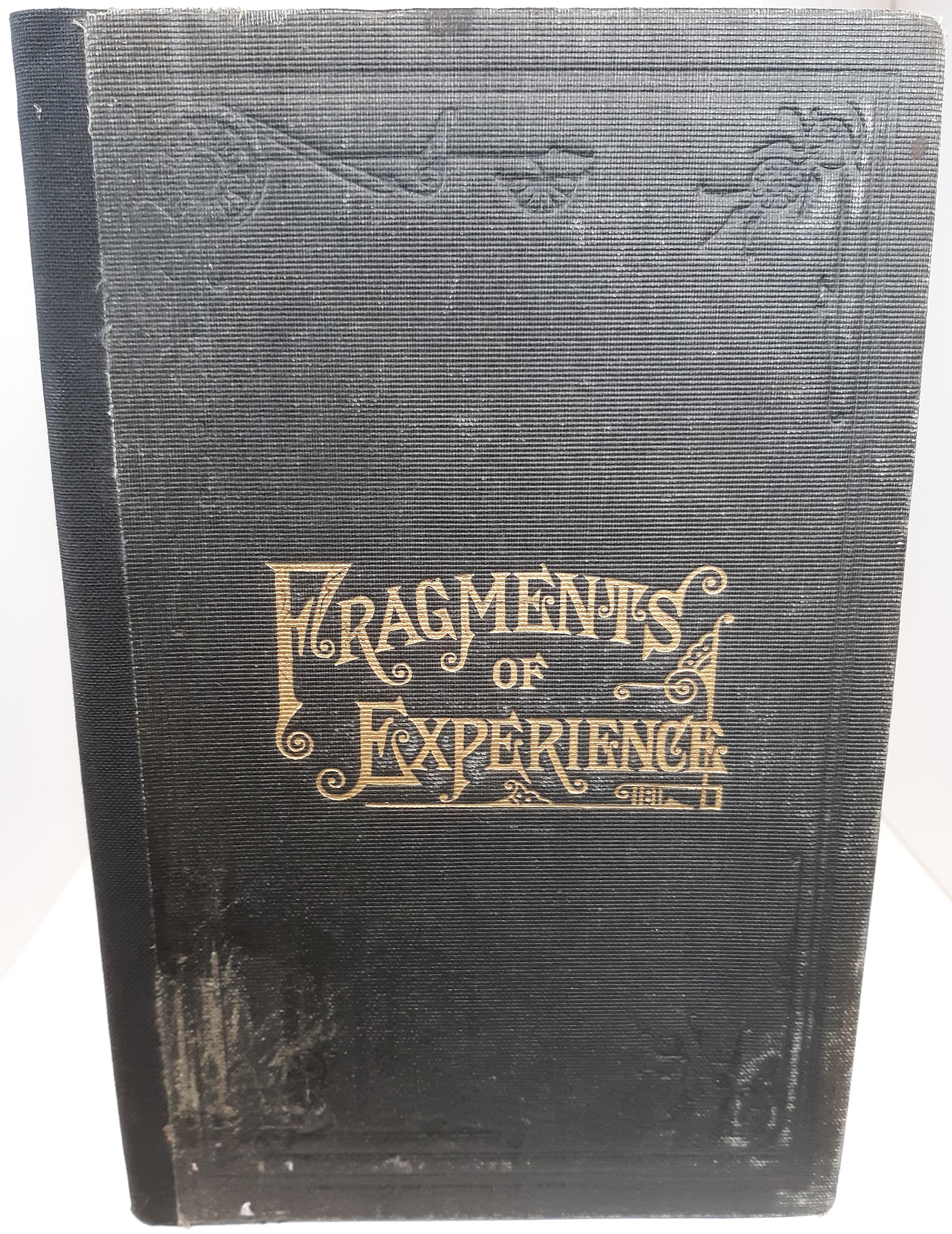 Fragments of Experience (1882)