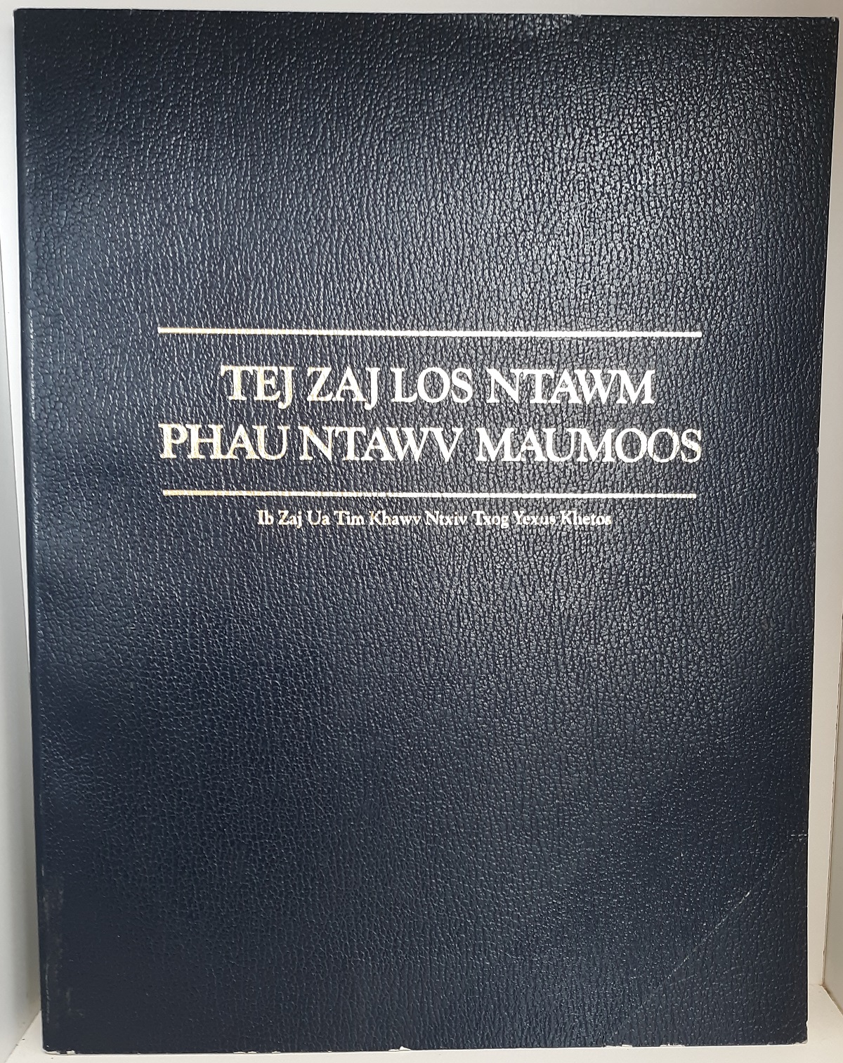 Tej Zaj Los Ntawm Phau Ntawv Maumoos (Hmong: Stories from the Book of Mormon) (1983)