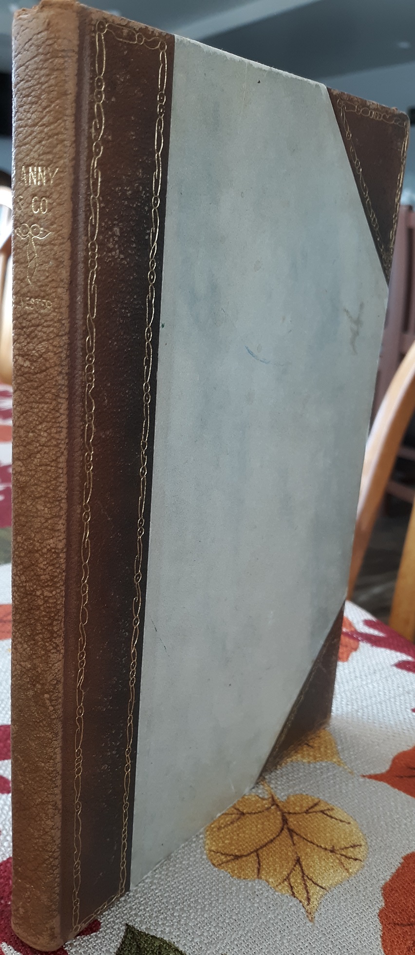 Manny & Co.: A Christmas Story (1913) ~ by Charles H. Sylvester